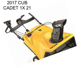 2017 CUB CADET 1X 21