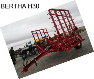 BERTHA H30