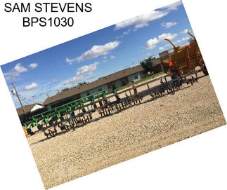 SAM STEVENS BPS1030