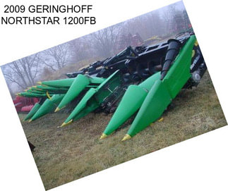 2009 GERINGHOFF NORTHSTAR 1200FB