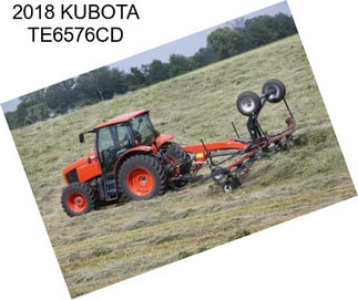 2018 KUBOTA TE6576CD