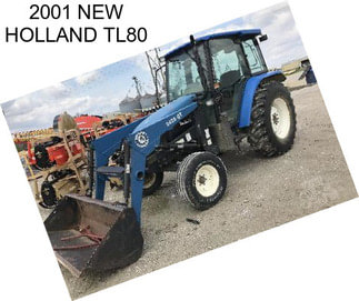 2001 NEW HOLLAND TL80