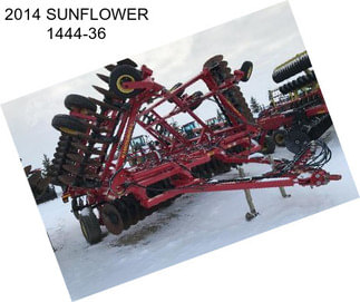 2014 SUNFLOWER 1444-36