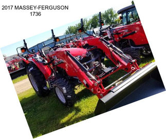 2017 MASSEY-FERGUSON 1736