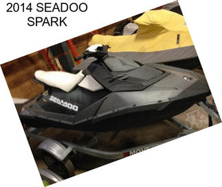 2014 SEADOO SPARK