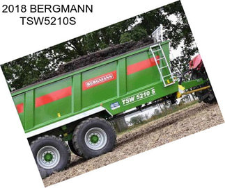 2018 BERGMANN TSW5210S