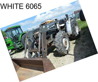 WHITE 6065