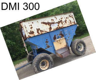 DMI 300