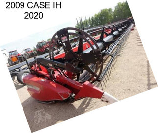 2009 CASE IH 2020