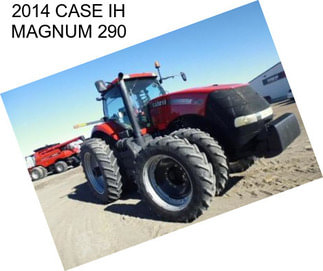 2014 CASE IH MAGNUM 290