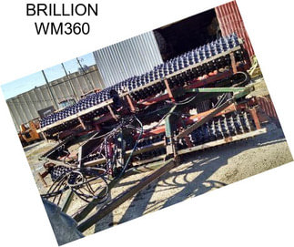 BRILLION WM360