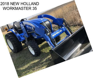 2018 NEW HOLLAND WORKMASTER 35