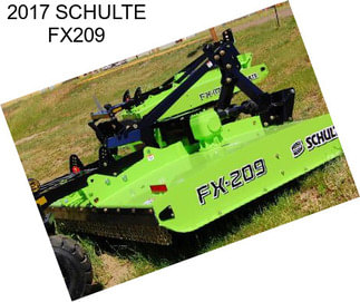 2017 SCHULTE FX209