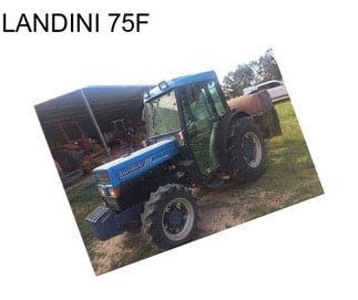 LANDINI 75F