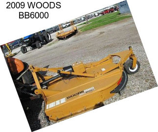 2009 WOODS BB6000