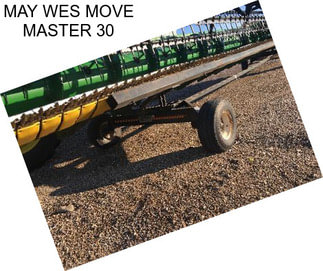 MAY WES MOVE MASTER 30