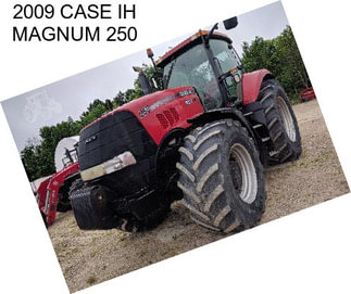 2009 CASE IH MAGNUM 250