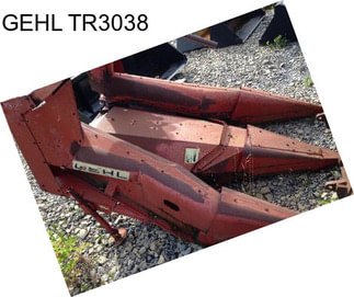 GEHL TR3038