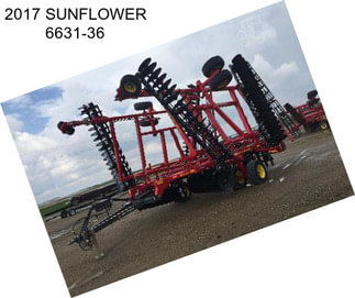 2017 SUNFLOWER 6631-36