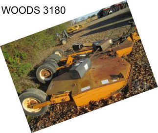 WOODS 3180