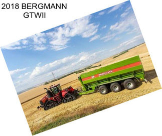 2018 BERGMANN GTWII