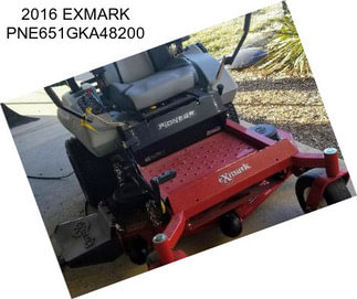 2016 EXMARK PNE651GKA48200