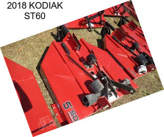 2018 KODIAK ST60