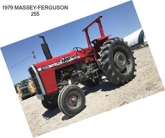 1979 MASSEY-FERGUSON 255