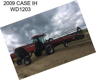 2009 CASE IH WD1203