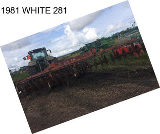 1981 WHITE 281