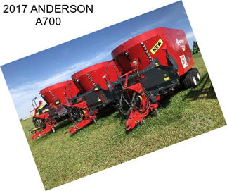 2017 ANDERSON A700