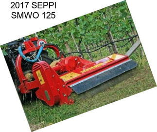 2017 SEPPI SMWO 125