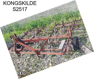 KONGSKILDE S2517