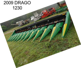 2009 DRAGO 1230