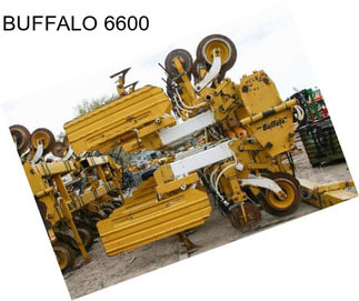 BUFFALO 6600