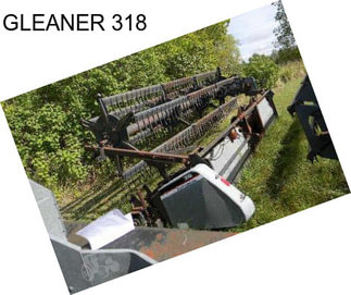 GLEANER 318