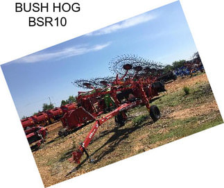 BUSH HOG BSR10