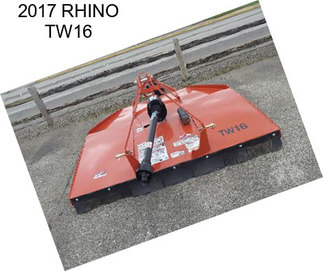 2017 RHINO TW16