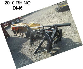 2010 RHINO DM6