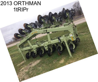 2013 ORTHMAN 1tRIPr