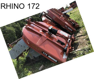 RHINO 172