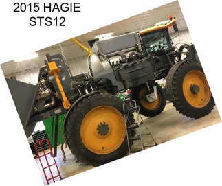 2015 HAGIE STS12