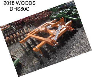 2018 WOODS DHS80C