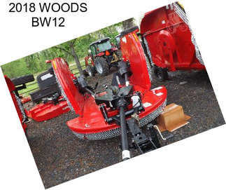 2018 WOODS BW12