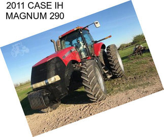 2011 CASE IH MAGNUM 290