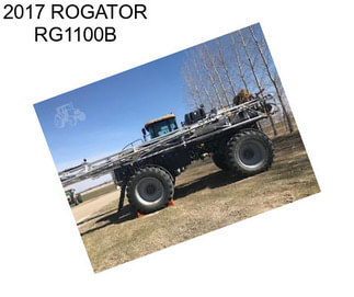 2017 ROGATOR RG1100B