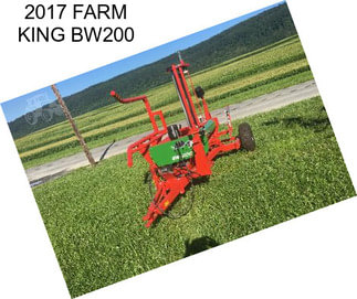 2017 FARM KING BW200