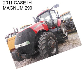 2011 CASE IH MAGNUM 290