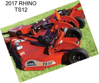 2017 RHINO TS12