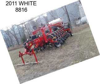 2011 WHITE 8816